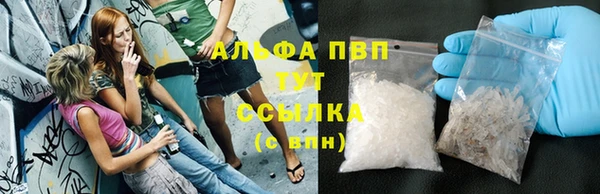 PSILOCYBIN Беломорск