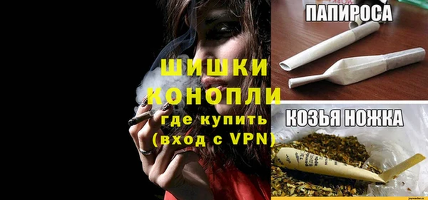 PSILOCYBIN Беломорск