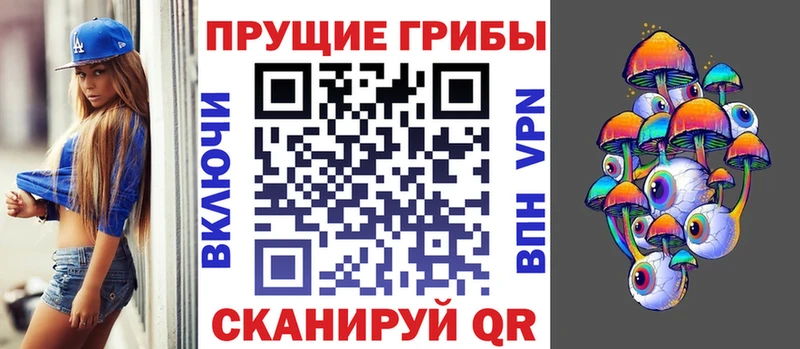 купить наркотик  Горно-Алтайск  Галлюциногенные грибы Psilocybe 
