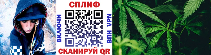 Бошки Шишки гибрид  купить   Горно-Алтайск 